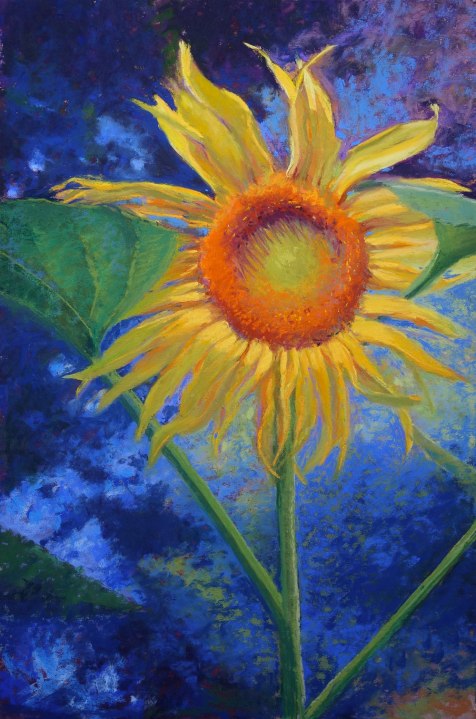 Sunflower, 12x18